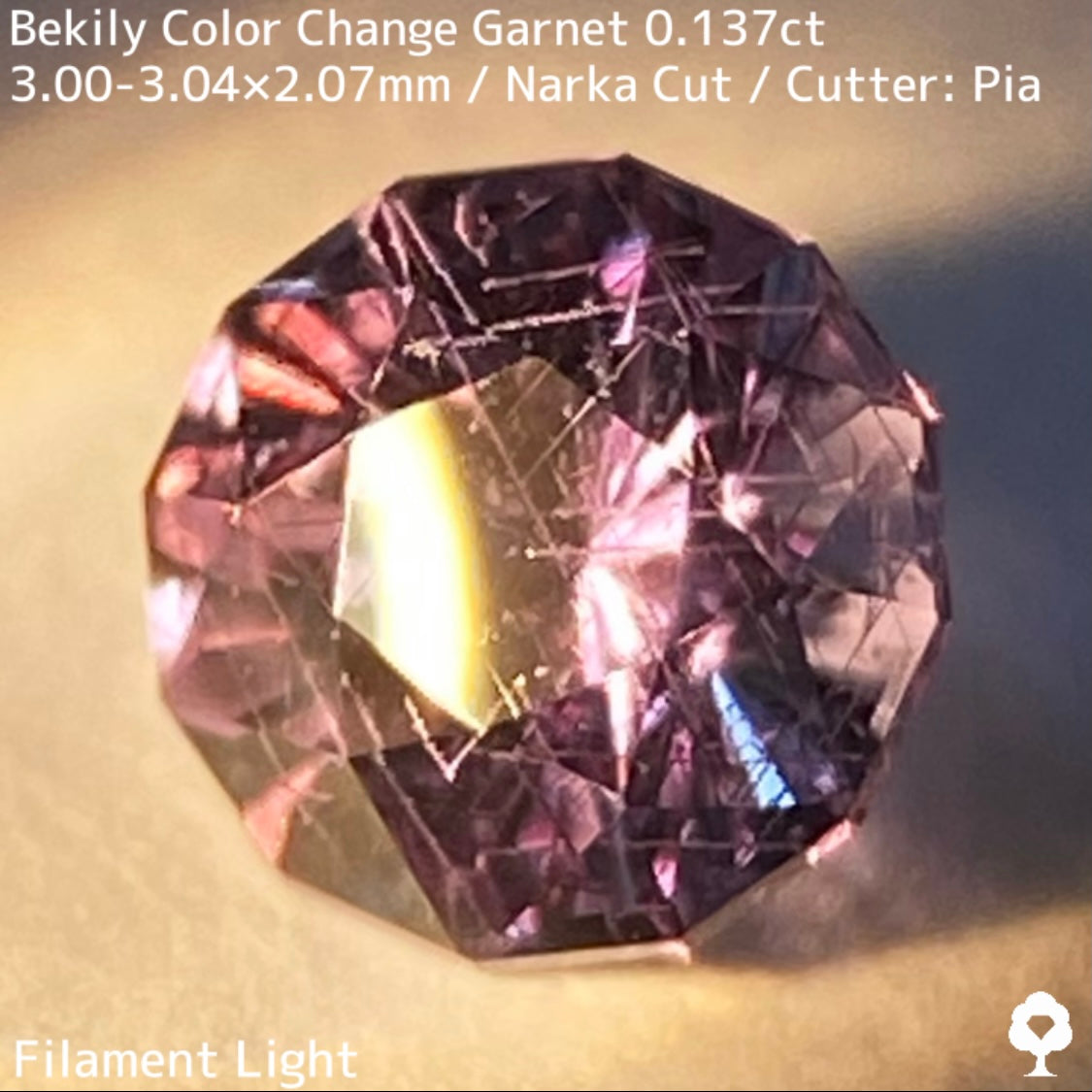 Color Change Garnet 0.137ct / Bekily(Madagascar)