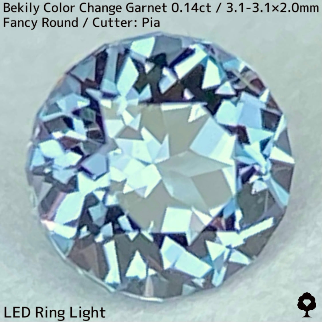 Color Change Garnet 0.14ct / Bekily(Madagascar)