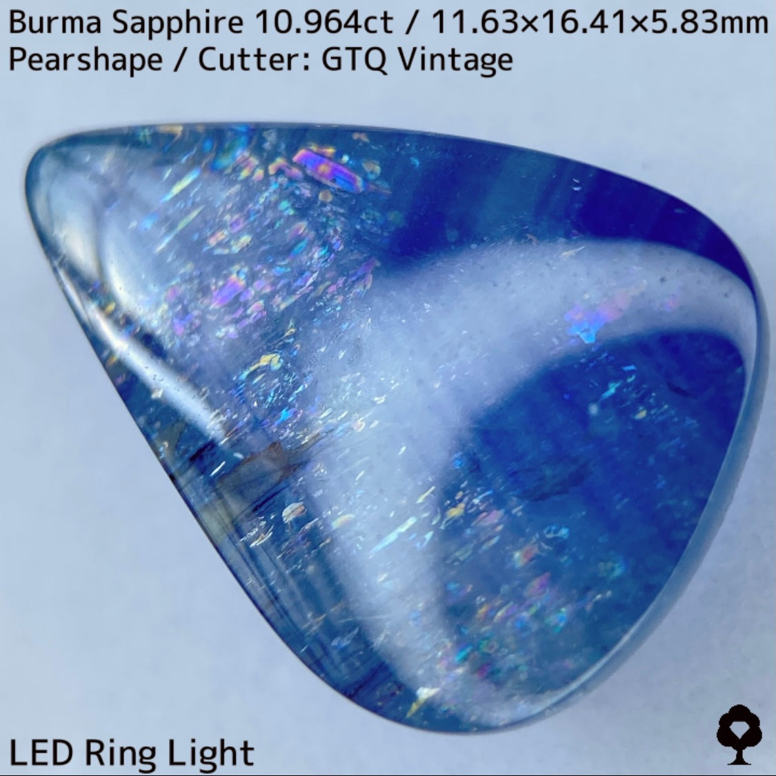 Sapphire 10.964ct / Burma / Cabochon