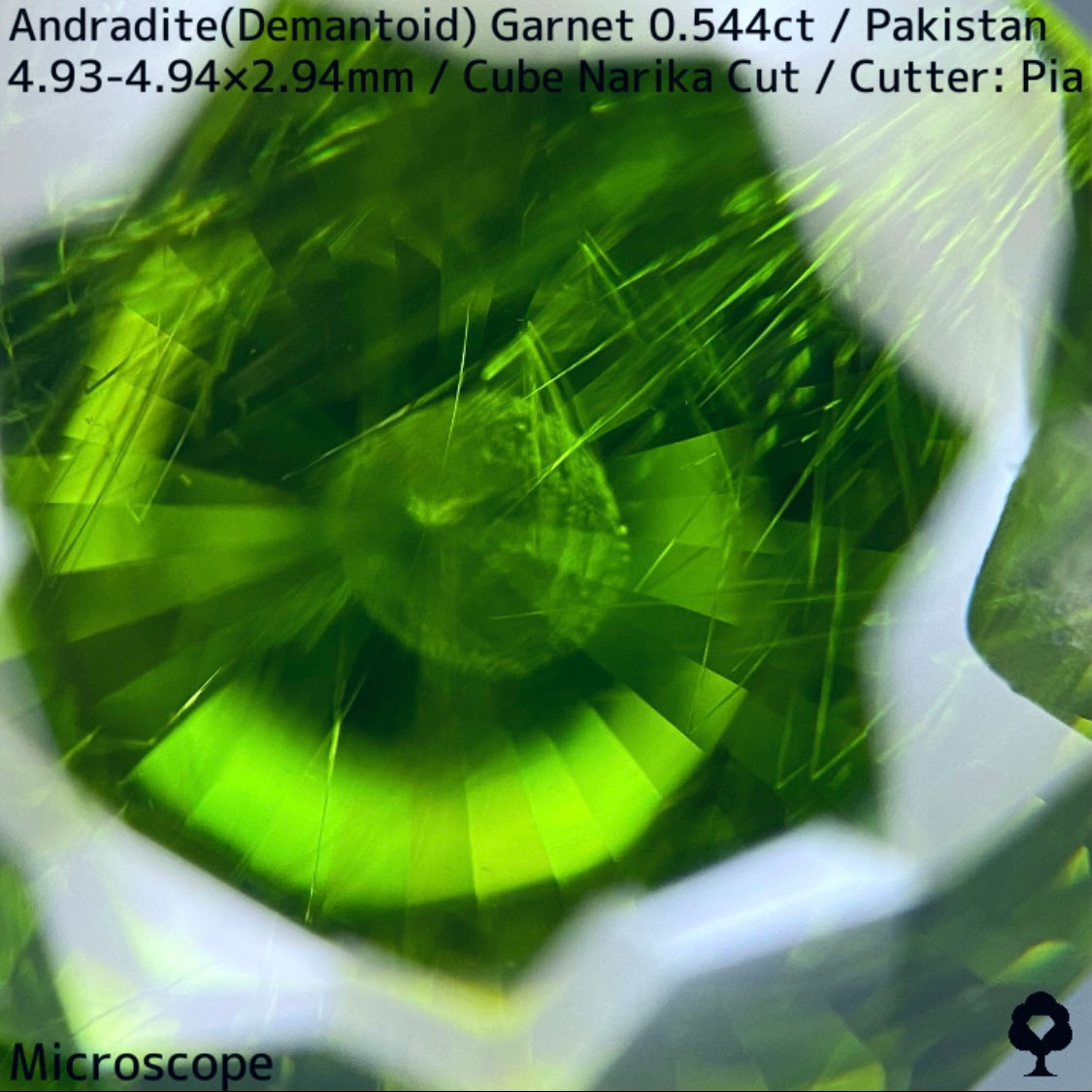 Andradite(Demantoid)0.544ct / Pakistan / Table cube Narika