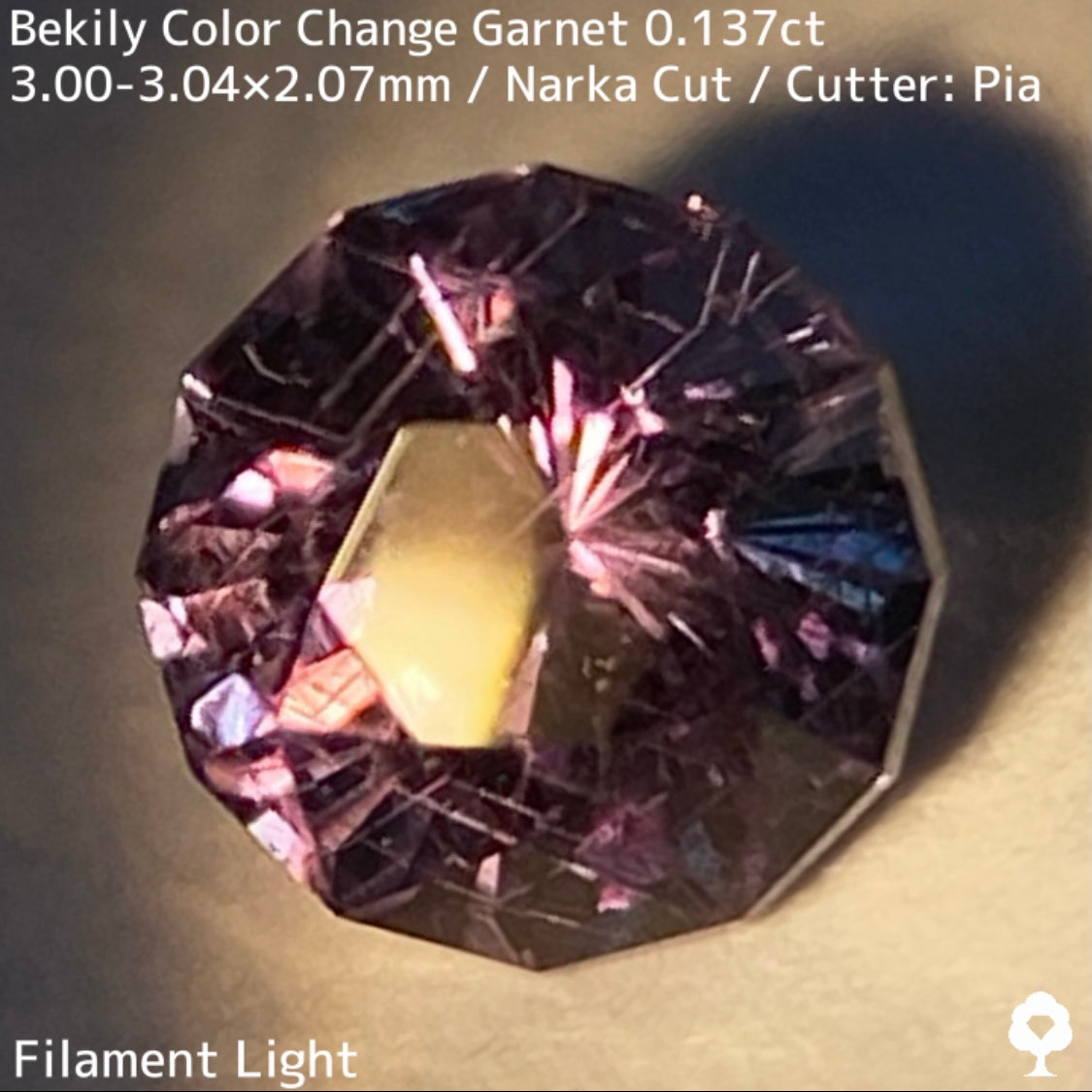 Color Change Garnet 0.137ct / Bekily(Madagascar)