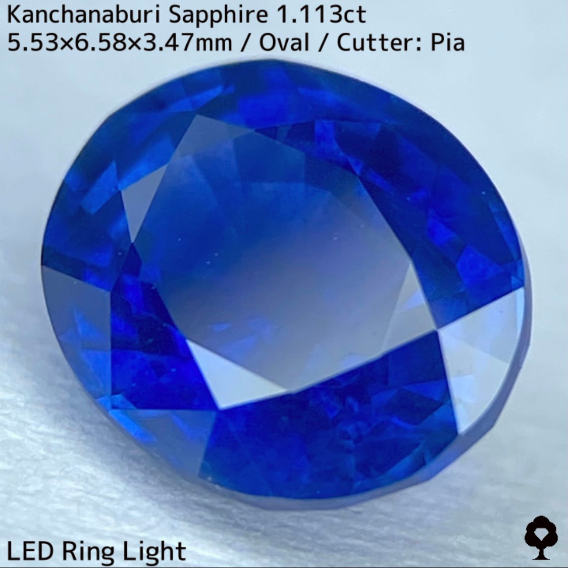 Kanchanaburi sapphire 1.113ct ★ A rare 1ct+ sapphire with a silky, slightly greenish blue color typical of Kanchanaburi