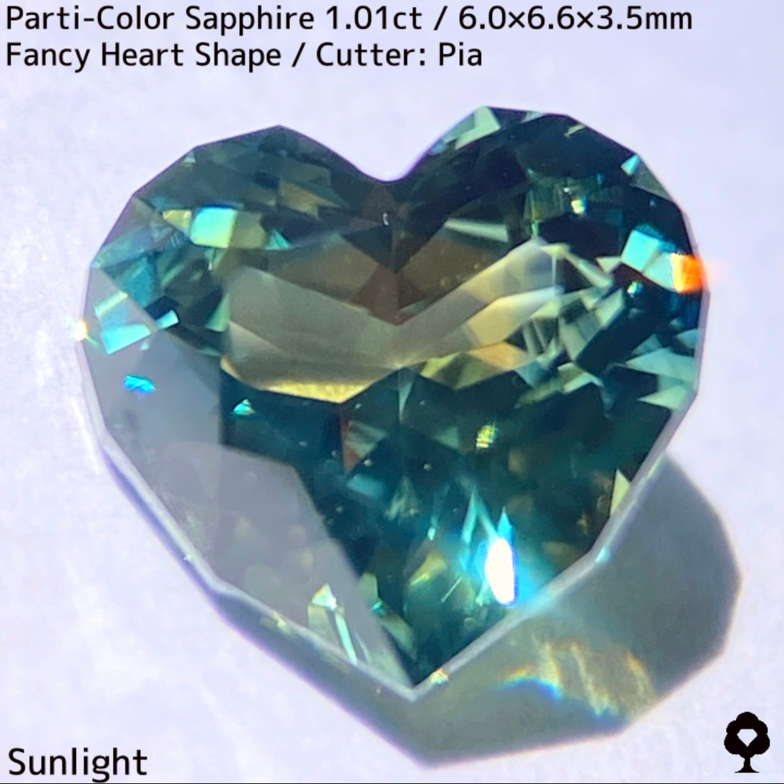 1.01ct Thai parti-colored sapphire ★ A rare fancy heart shape with a party feel that is typical of Bangkacha