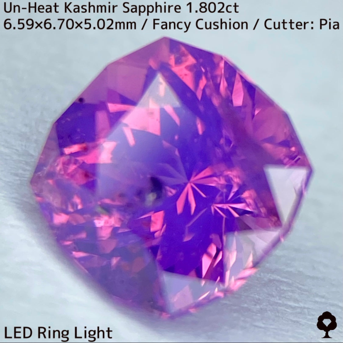 Unheated Kashmir sapphire from Pakistan 1.802ct ★ Enjoy this rare Kashmir masterpiece in a variety of light sources