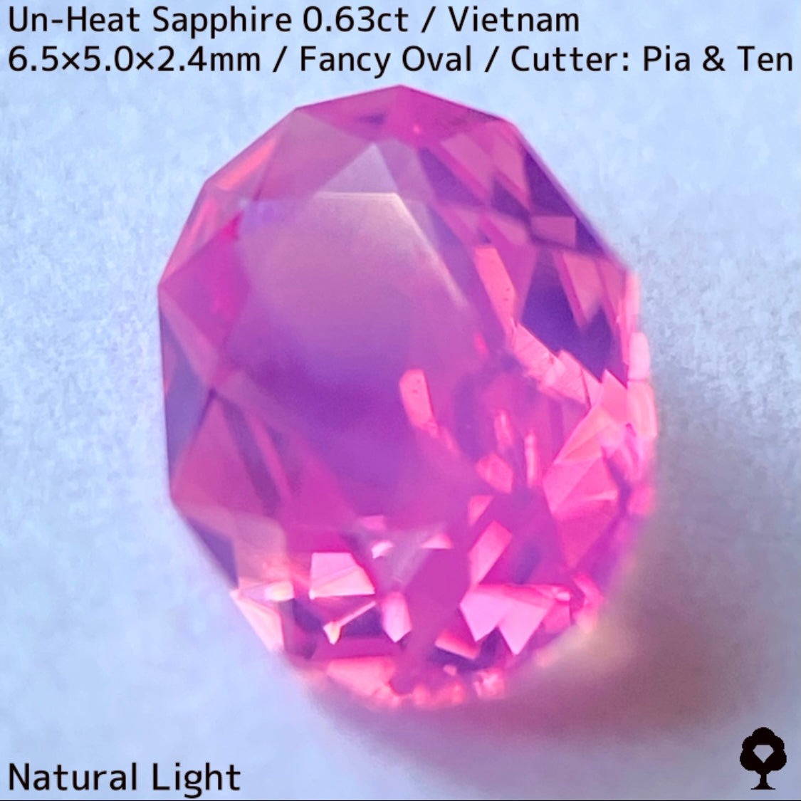 Un-Heat Sapphire 0.63ct / Vietnam