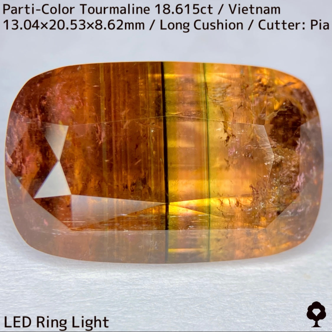Parti-Color Tourmaline 18.615ct / Vietnam / Long Cushion