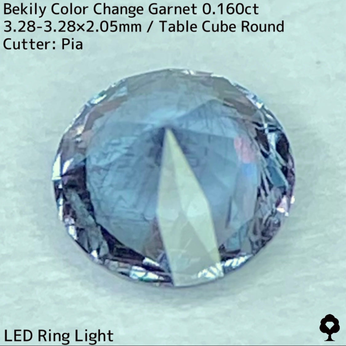 Color Change Garnet 0.160ct / Bekily(Madagascar)
