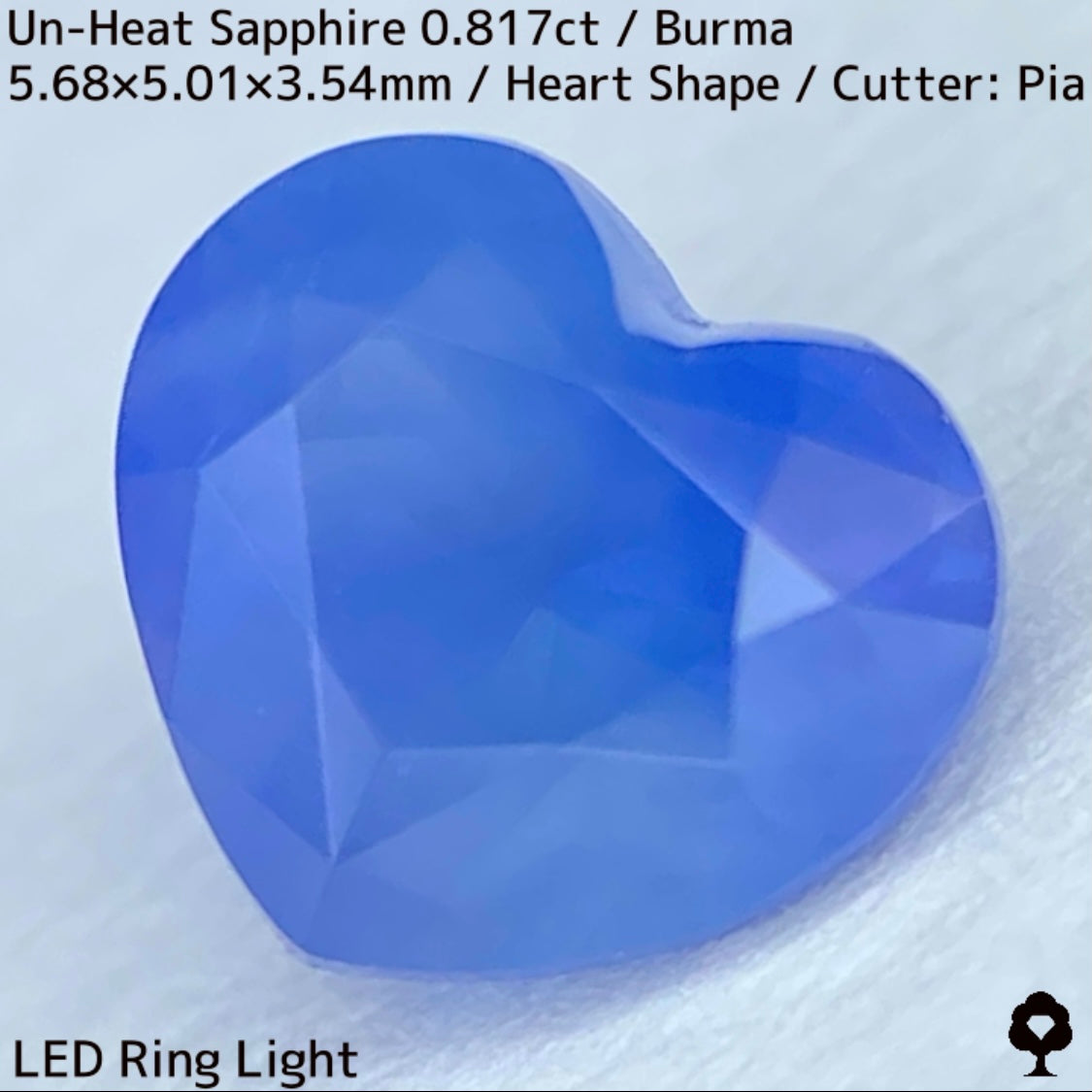 Un-Heat Sapphire 0.817ct / Burma