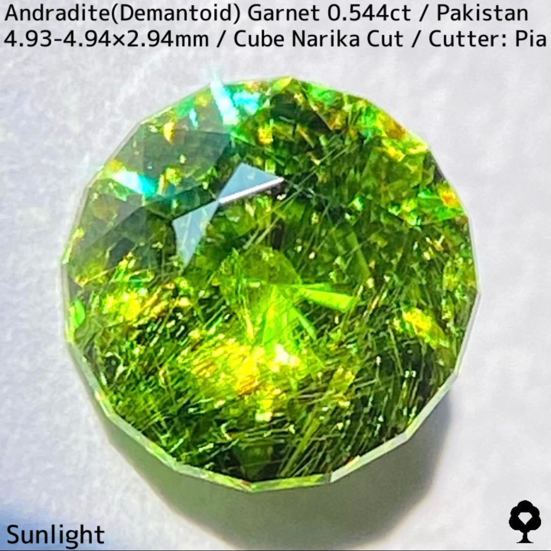 Andradite(Demantoid)0.544ct / Pakistan / Table cube Narika