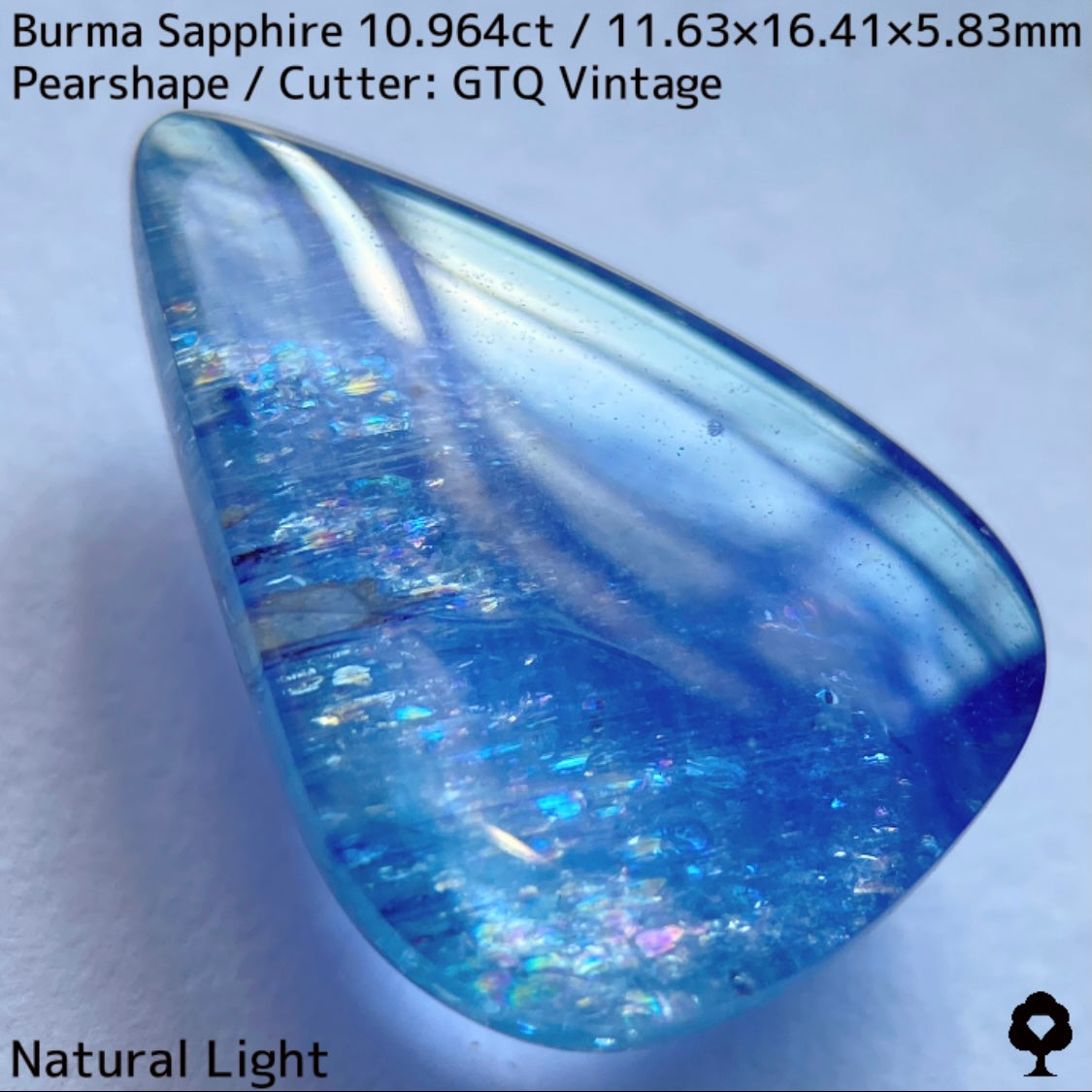 Sapphire 10.964ct / Burma / Cabochon