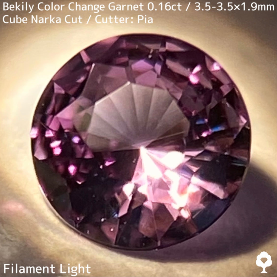 Color Change Garnet 0.161ct / Bekily(Madagascar)
