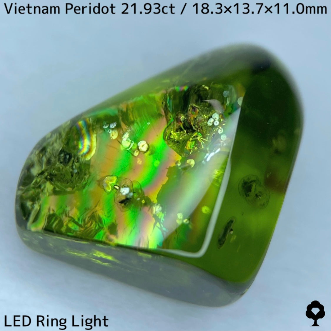 Peridot 21.93ct / Vietnam / Rough stone