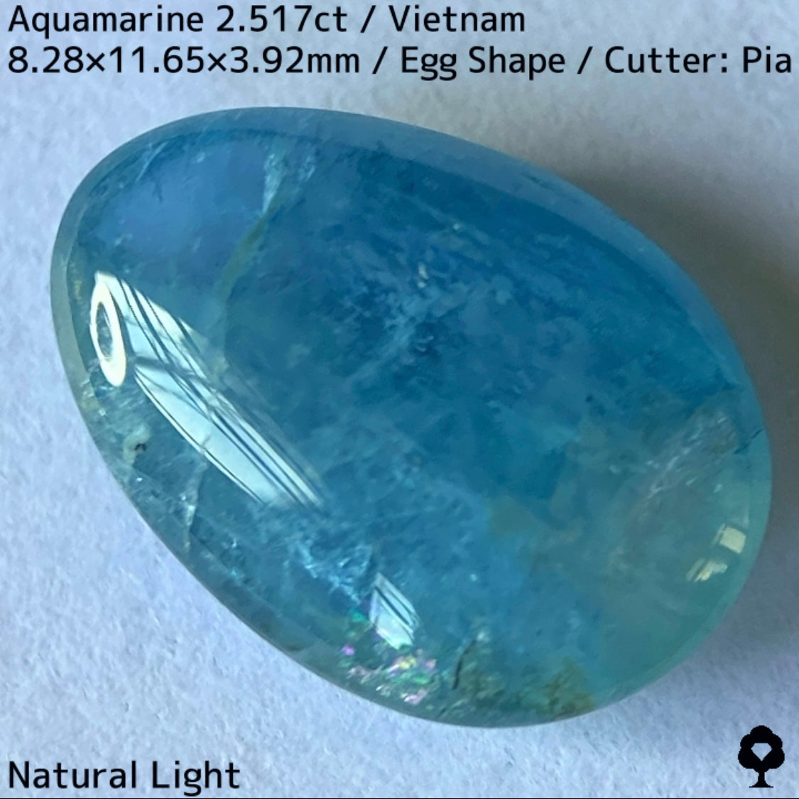 Aquamarine 2.517ct / Vietnam