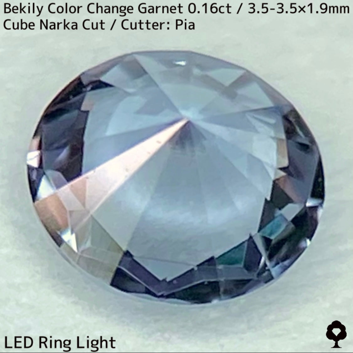 Color Change Garnet 0.161ct / Bekily(Madagascar)