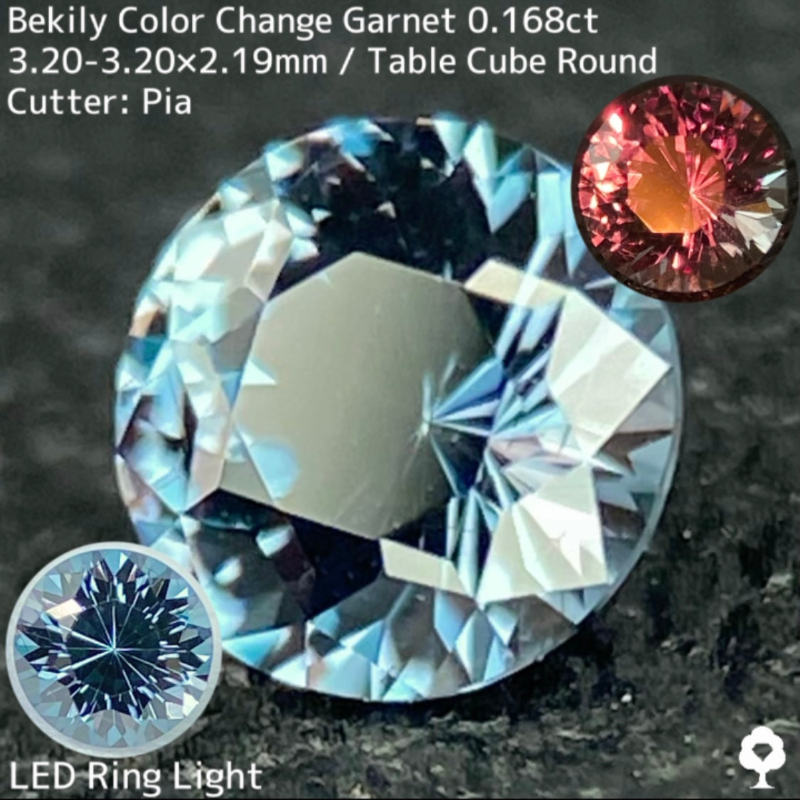 Color Change Garnet 0.168ct / Bekily(Madagascar)