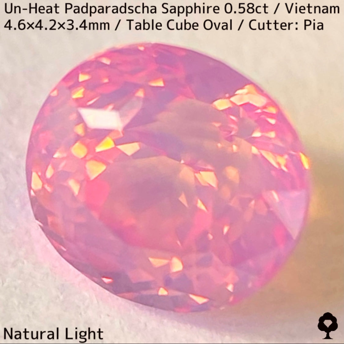 Un-Heat Padparadscha Sapphire 0.58ct / Vietnam