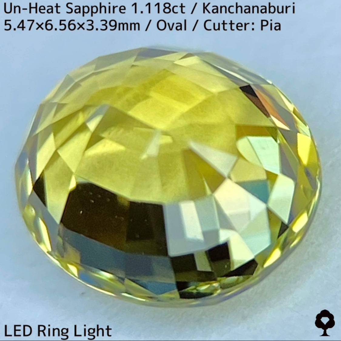 Kanchanaburi Sapphire 2Pc 2.231ct