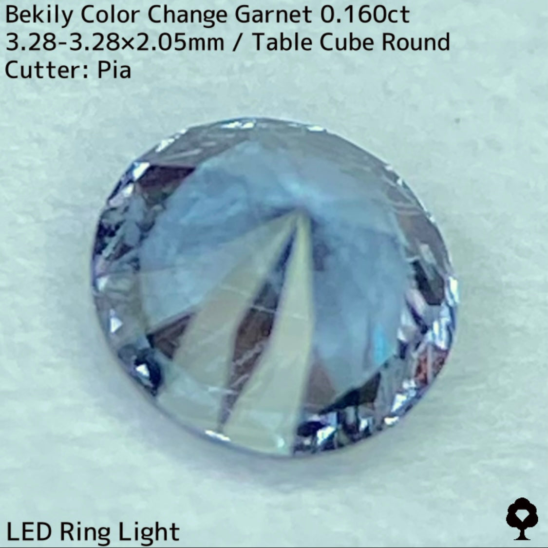 Color Change Garnet 0.160ct / Bekily(Madagascar)