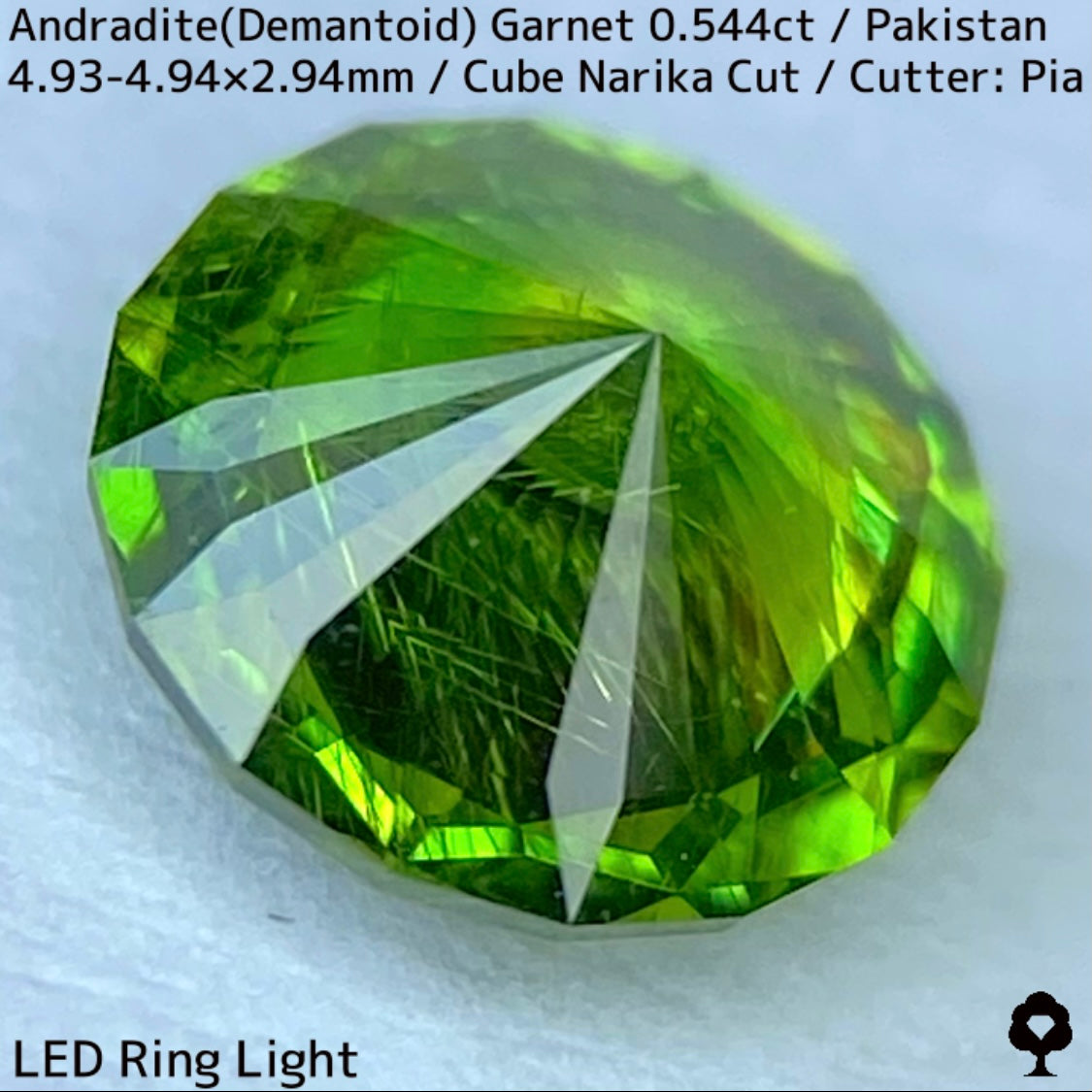 Andradite(Demantoid)0.544ct / Pakistan / Table cube Narika