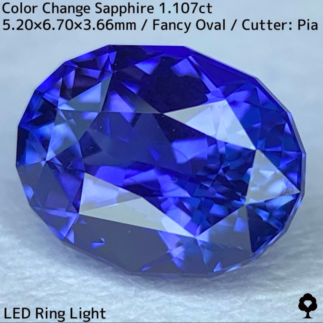Tanzania color change sapphire 1.107ct ★ Beautiful color change multicolor crystal with a mix of blue, purple, and greenish blue