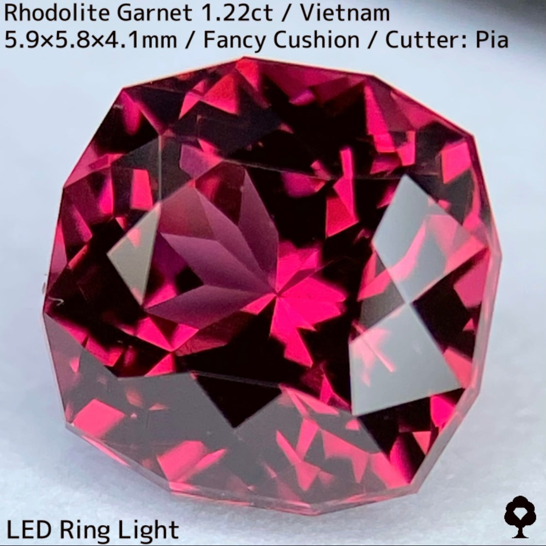 Rhodolite Garnet 1.22ct / Vietnam