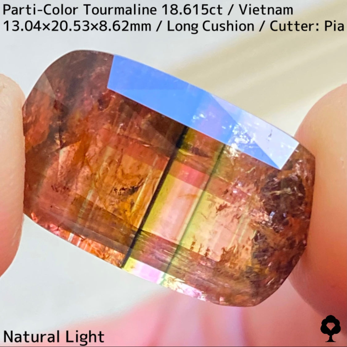 Parti-Color Tourmaline 18.615ct / Vietnam / Long Cushion