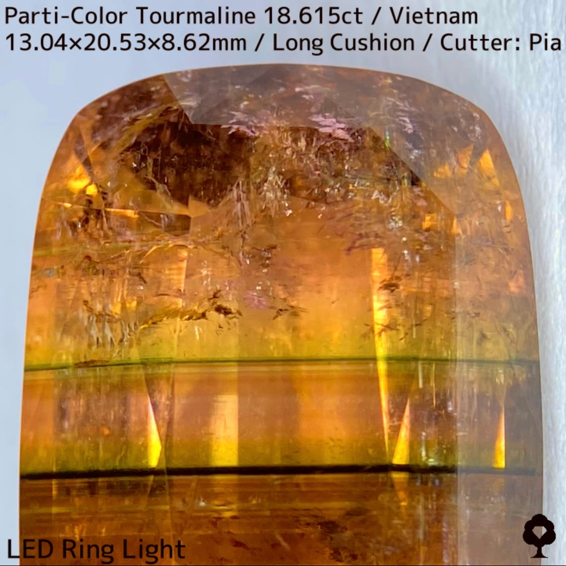 Parti-Color Tourmaline 18.615ct / Vietnam / Long Cushion