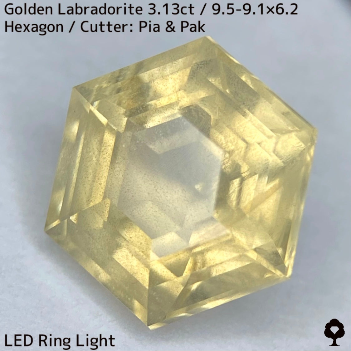 Golden Labradorite 3.13ct★A stone that seems to seal a sparkling sandstorm in a labyrinth★Includes rough stones from the same lot