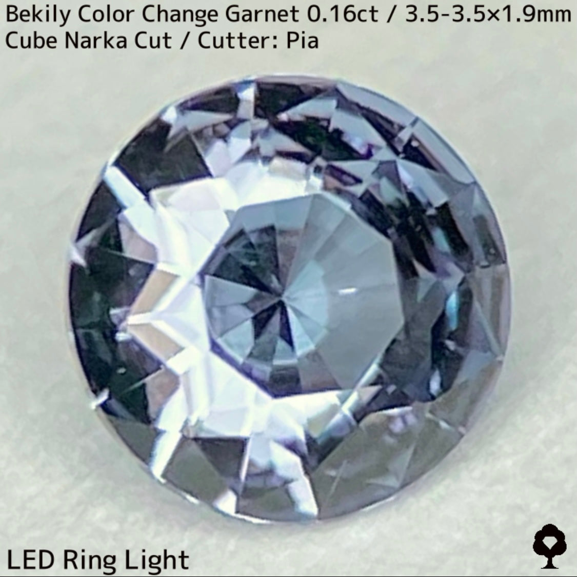 Color Change Garnet 0.161ct / Bekily(Madagascar)