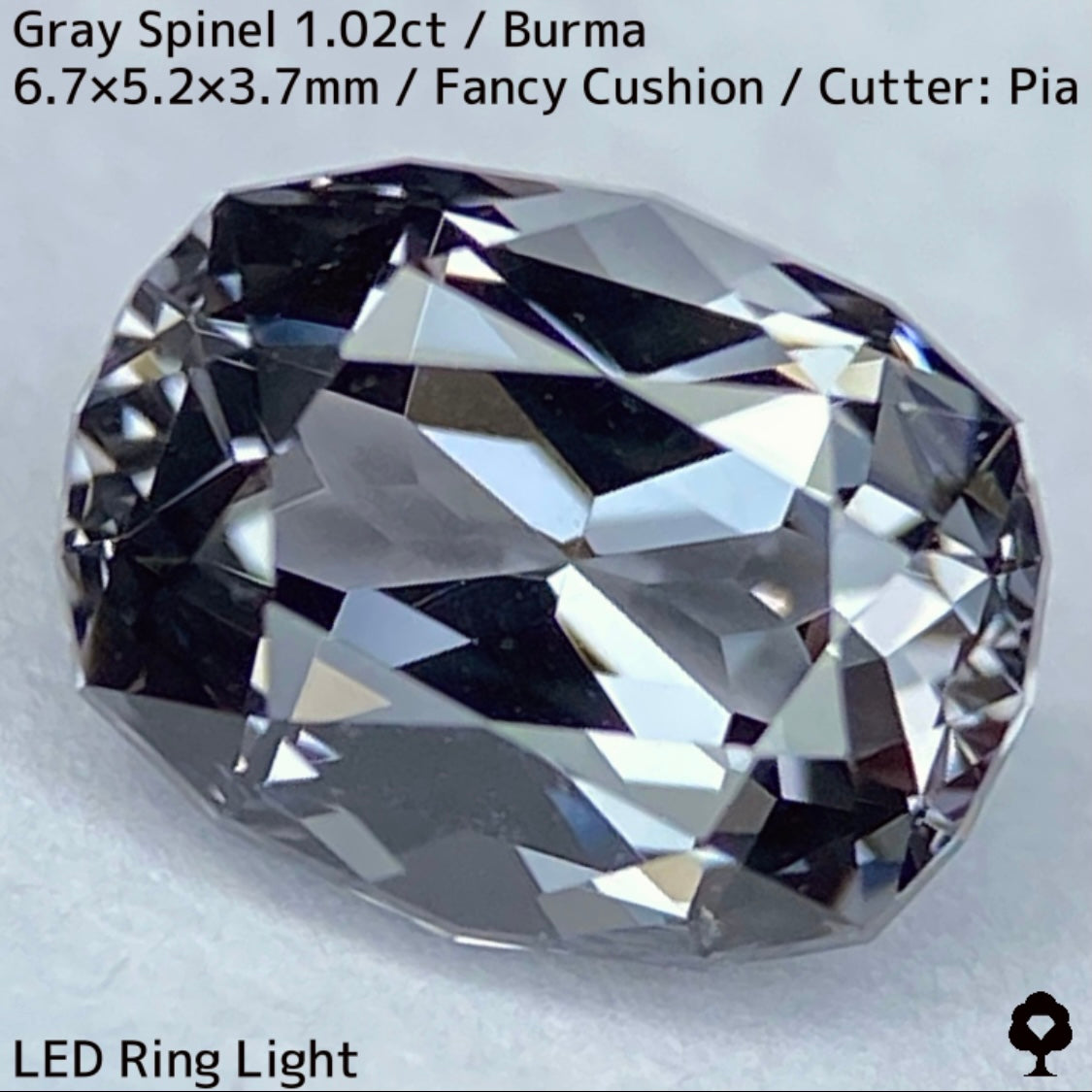 Grey Spinel 1.024ct / Burma