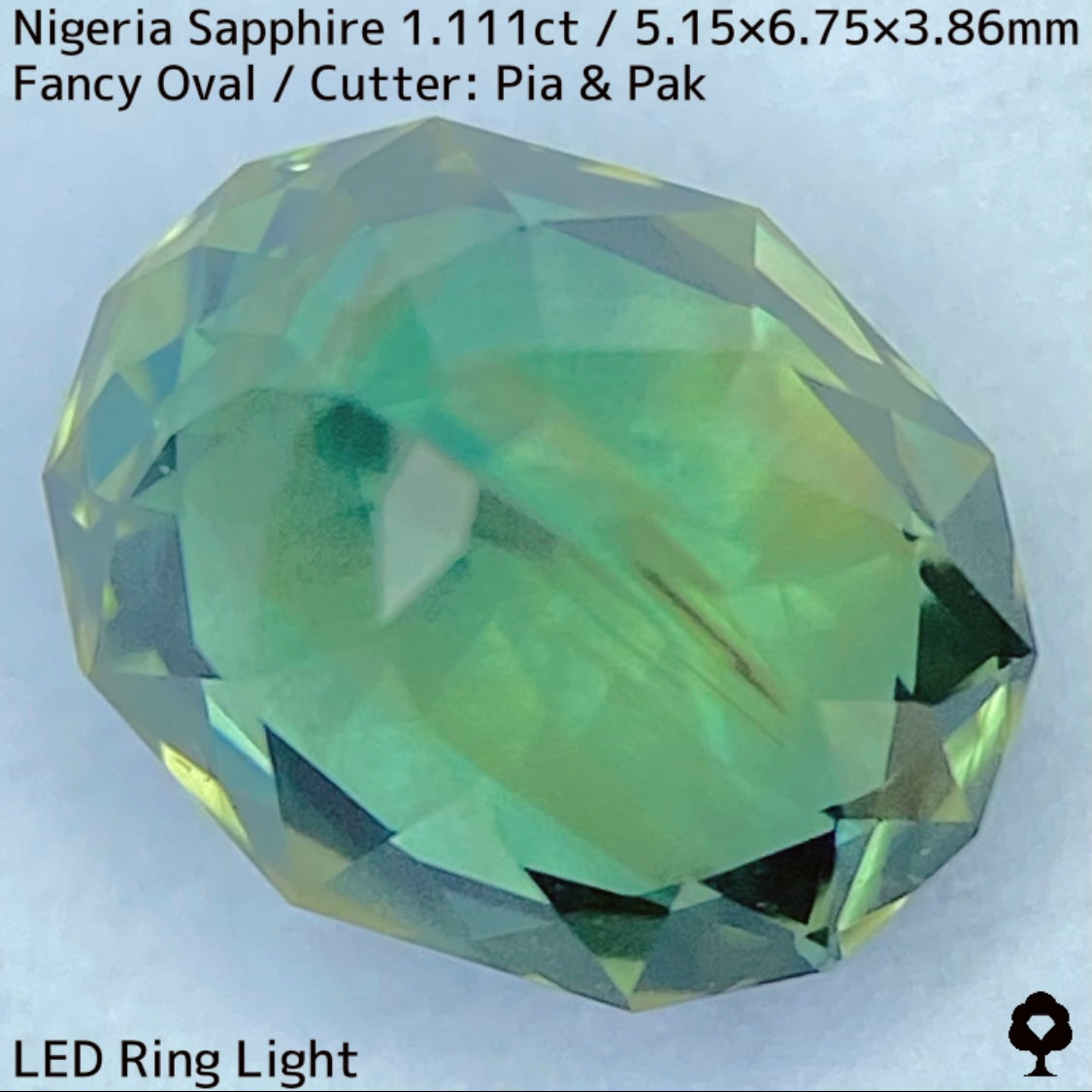 Bluish Green Saphire 1.111ct / Nigeria