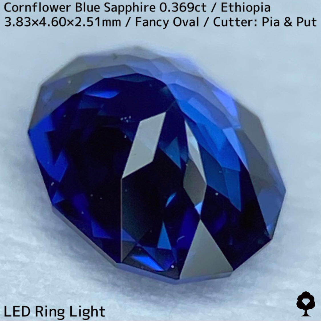 Ethiopian cornflower blue sapphire 0.369ct ★ Vivid and gorgeous, clear, beautiful crystal cut ★ Comes with 0.88ct rough stone