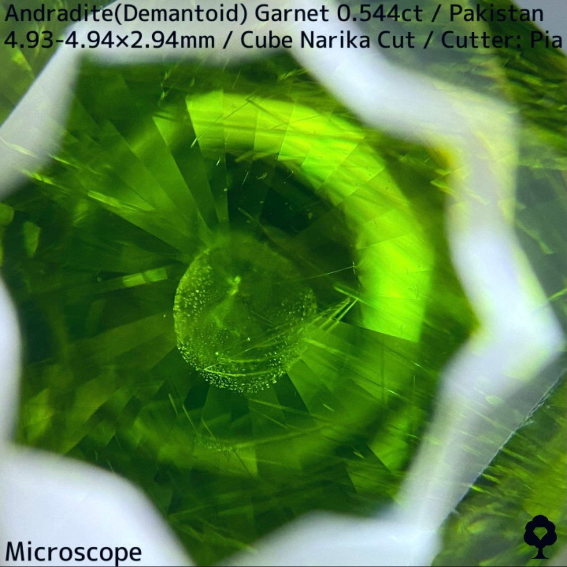 Andradite(Demantoid)0.544ct / Pakistan / Table cube Narika