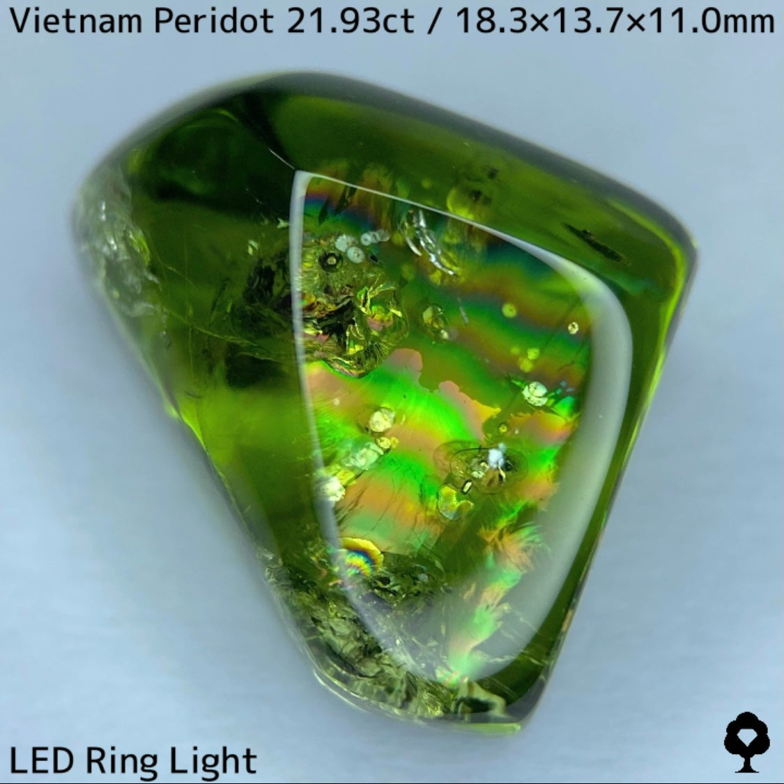 Peridot 21.93ct / Vietnam / Rough stone
