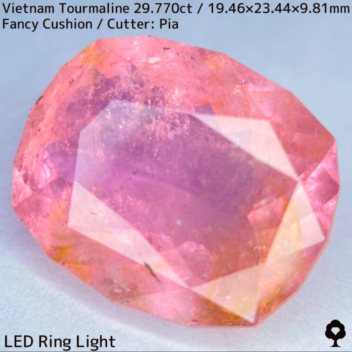 Tourmaline 29.770ct / Vietnam