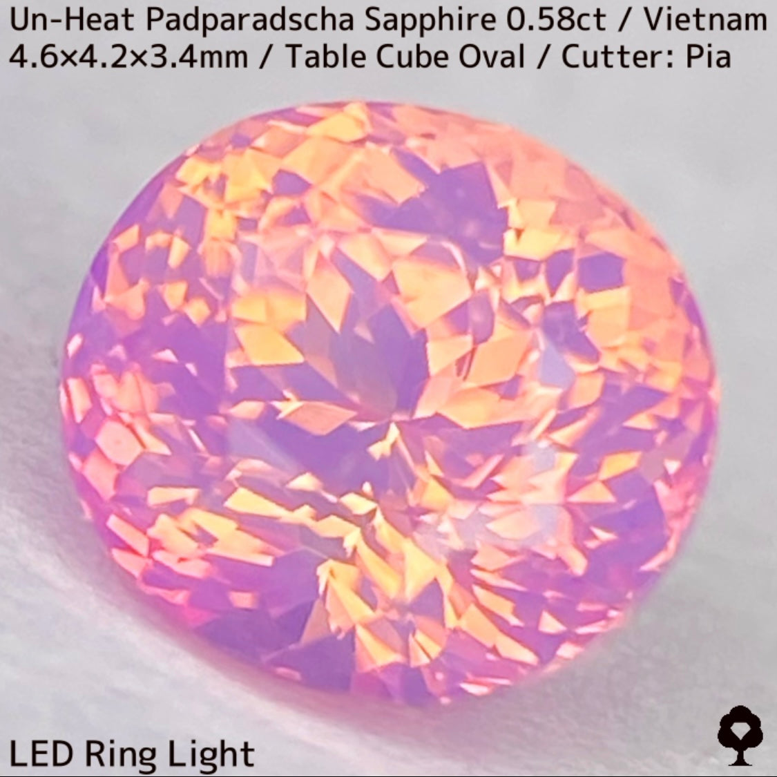Un-Heat Padparadscha Sapphire 0.58ct / Vietnam