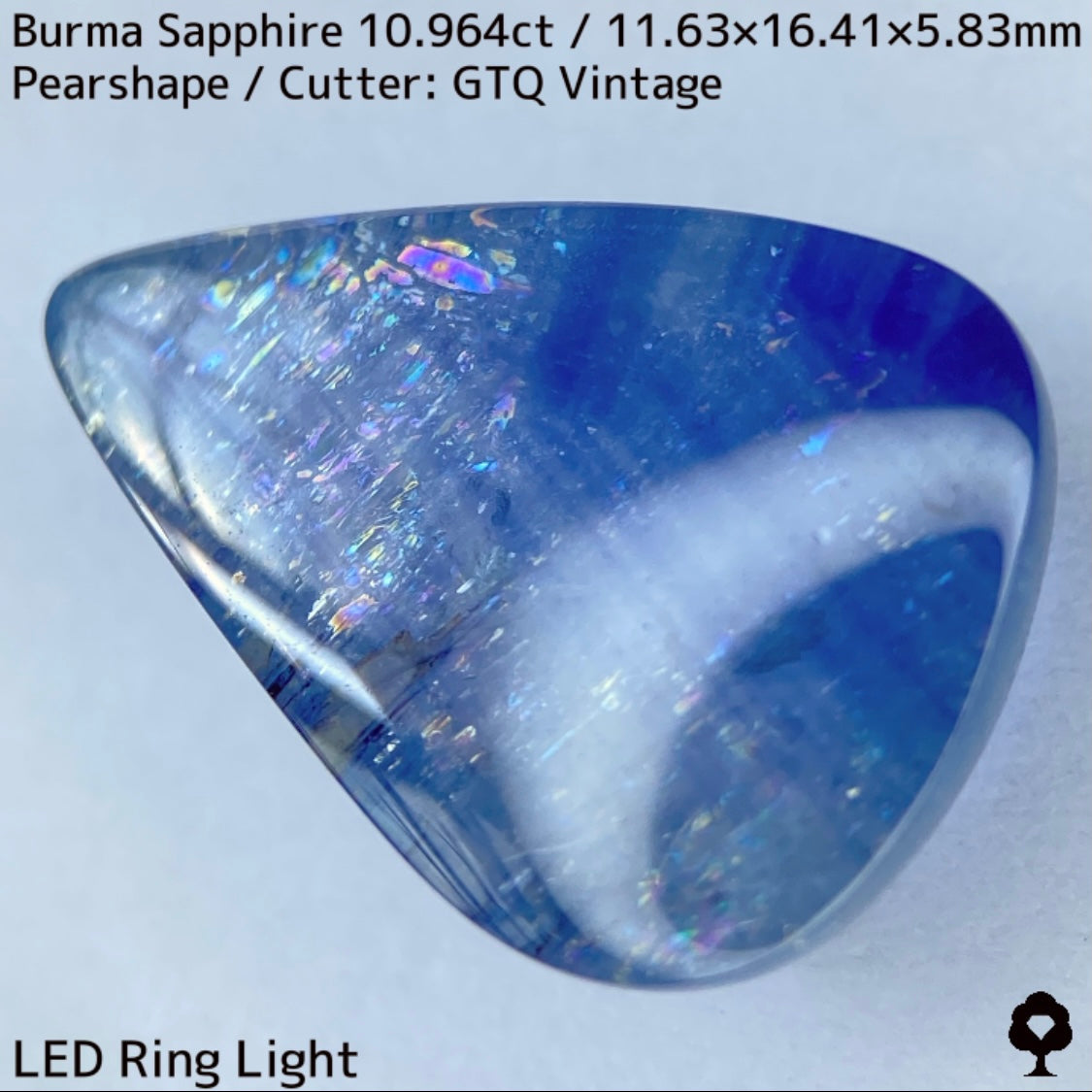 Sapphire 10.964ct / Burma / Cabochon