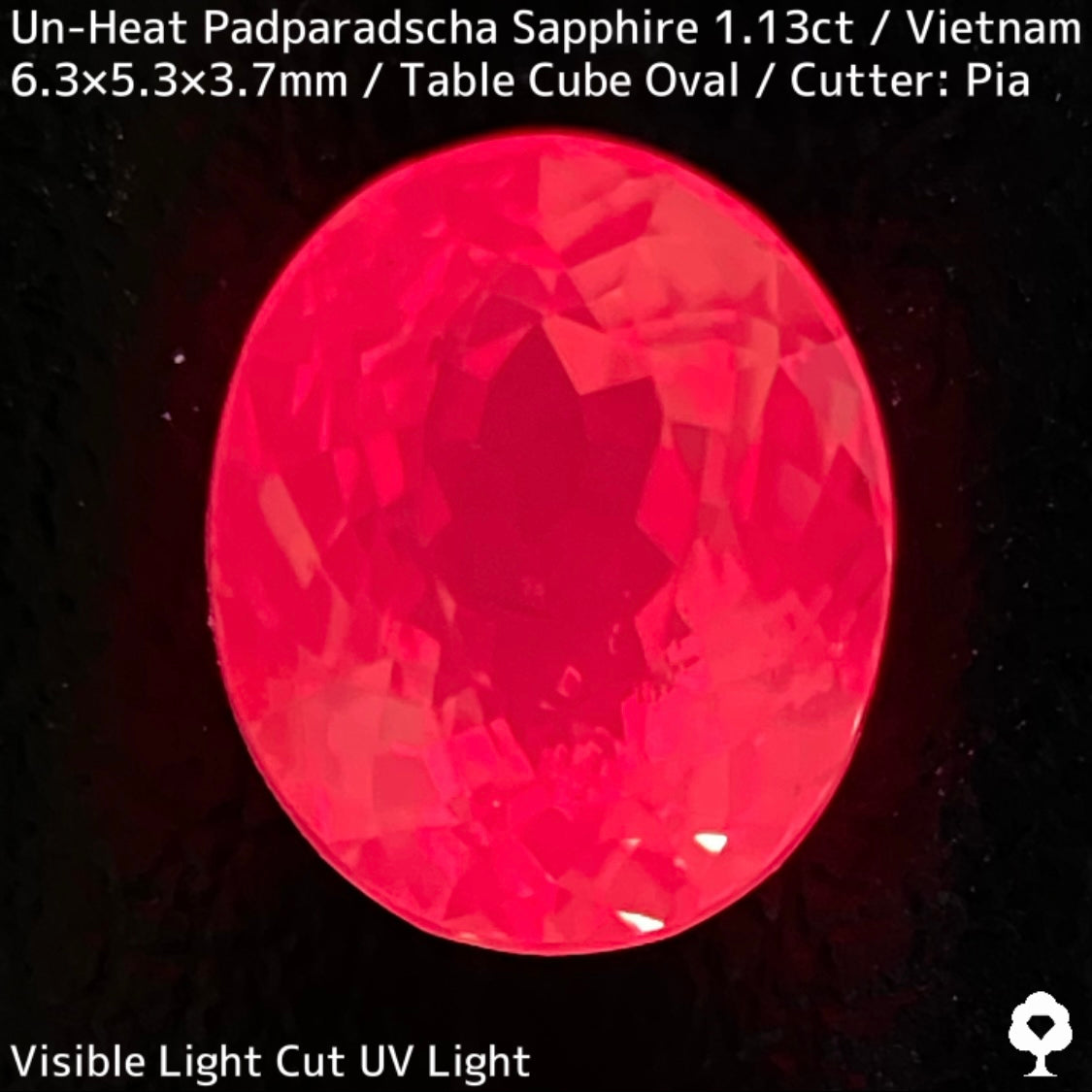 Un-Heat Padparadscha Sapphire 1.136ct / Vietnam