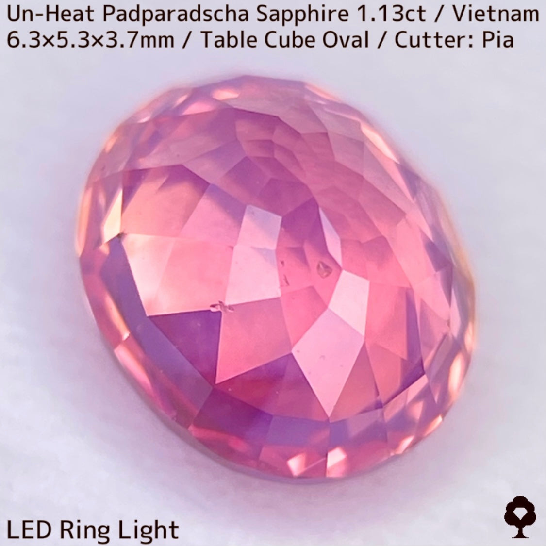 Un-Heat Padparadscha Sapphire 1.136ct / Vietnam
