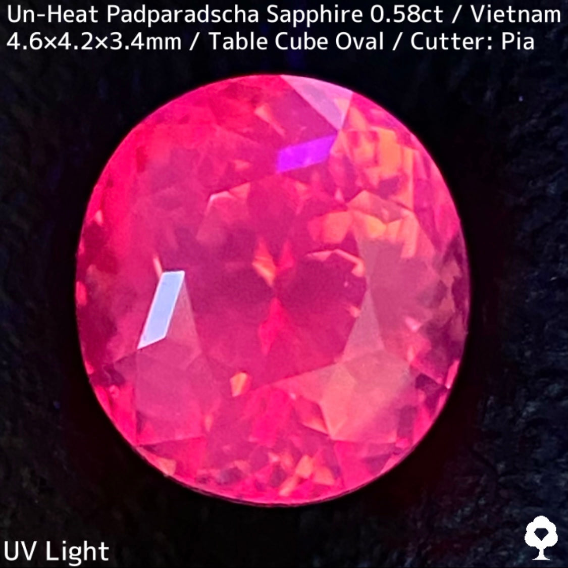 Un-Heat Padparadscha Sapphire 0.58ct / Vietnam