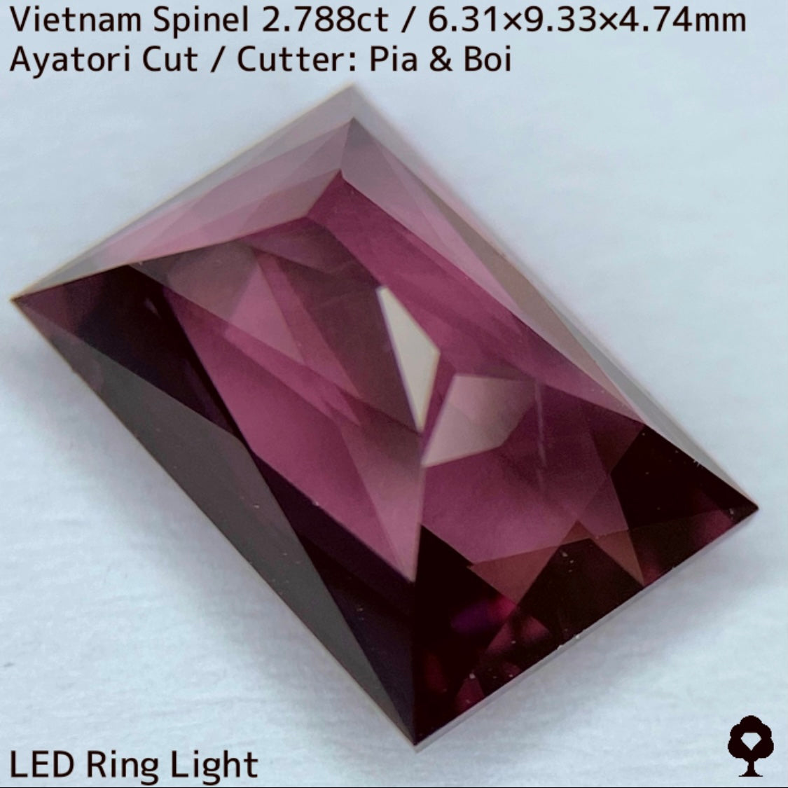 Spinel 2.788ct / Vietnam