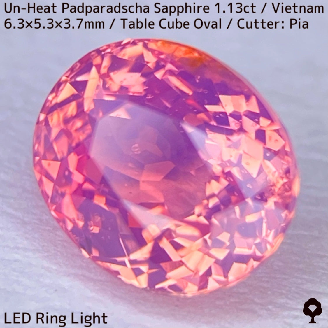 Un-Heat Padparadscha Sapphire 1.136ct / Vietnam