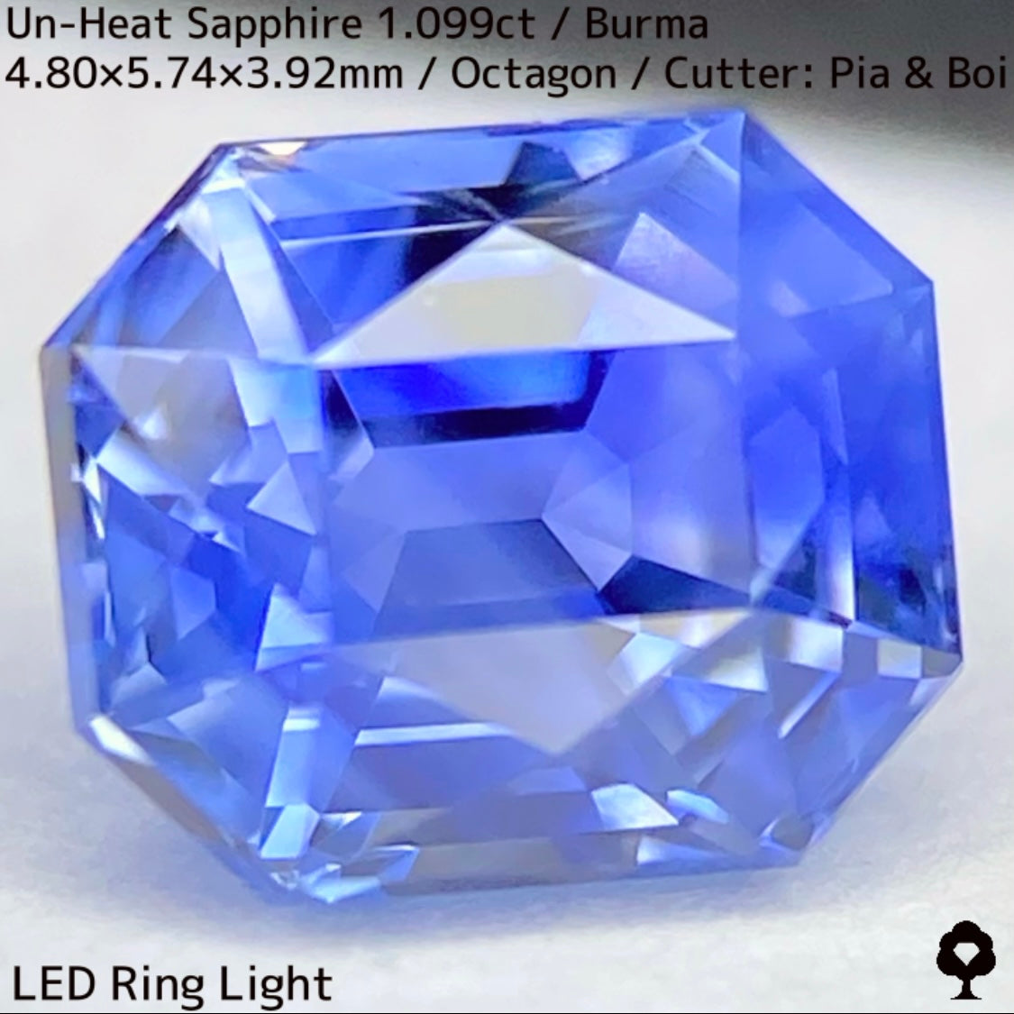 Un-Heat Sapphire 1.099ct / Burma