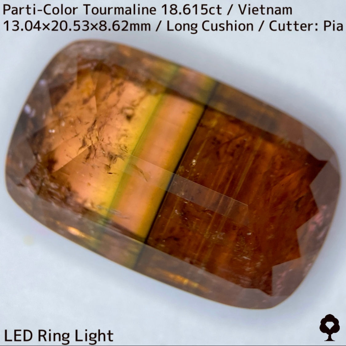 Parti-Color Tourmaline 18.615ct / Vietnam / Long Cushion