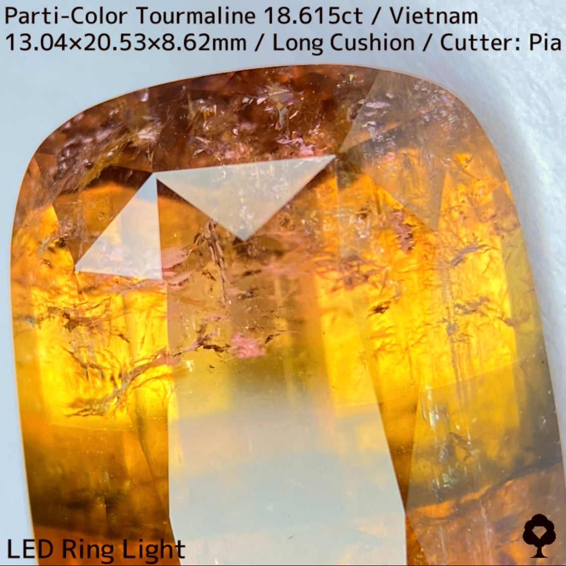 Parti-Color Tourmaline 18.615ct / Vietnam / Long Cushion