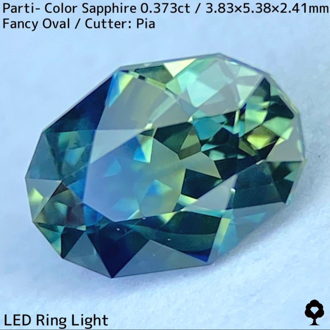 Parti-Color Sapphire 0.373ct / Thailand