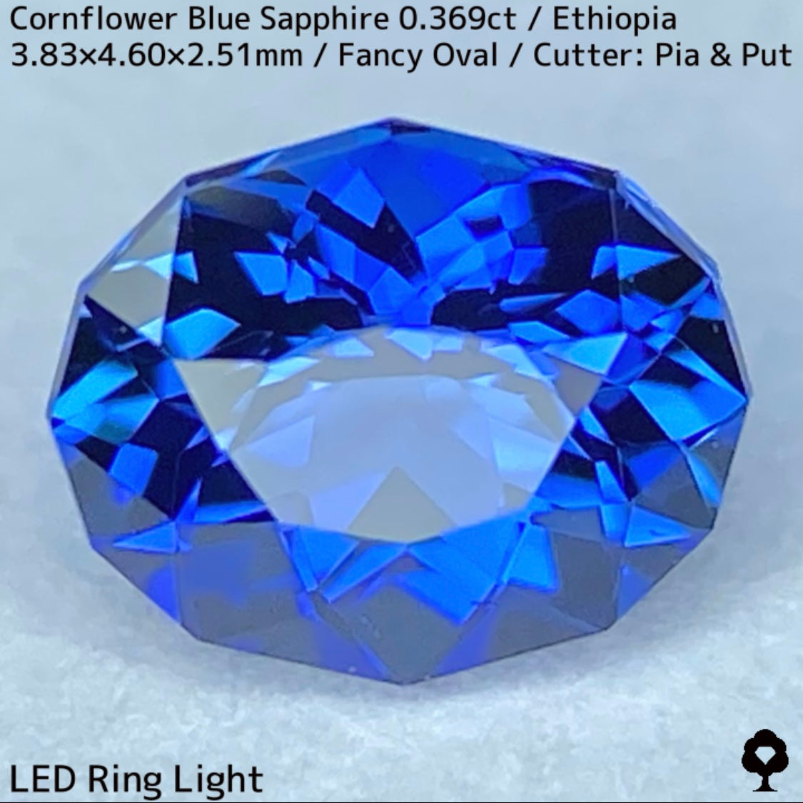 Ethiopian cornflower blue sapphire 0.369ct ★ Vivid and gorgeous, clear, beautiful crystal cut ★ Comes with 0.88ct rough stone