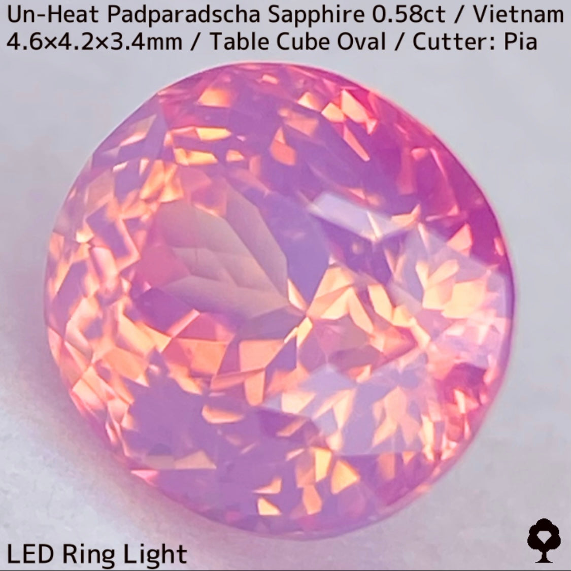 Un-Heat Padparadscha Sapphire 0.58ct / Vietnam