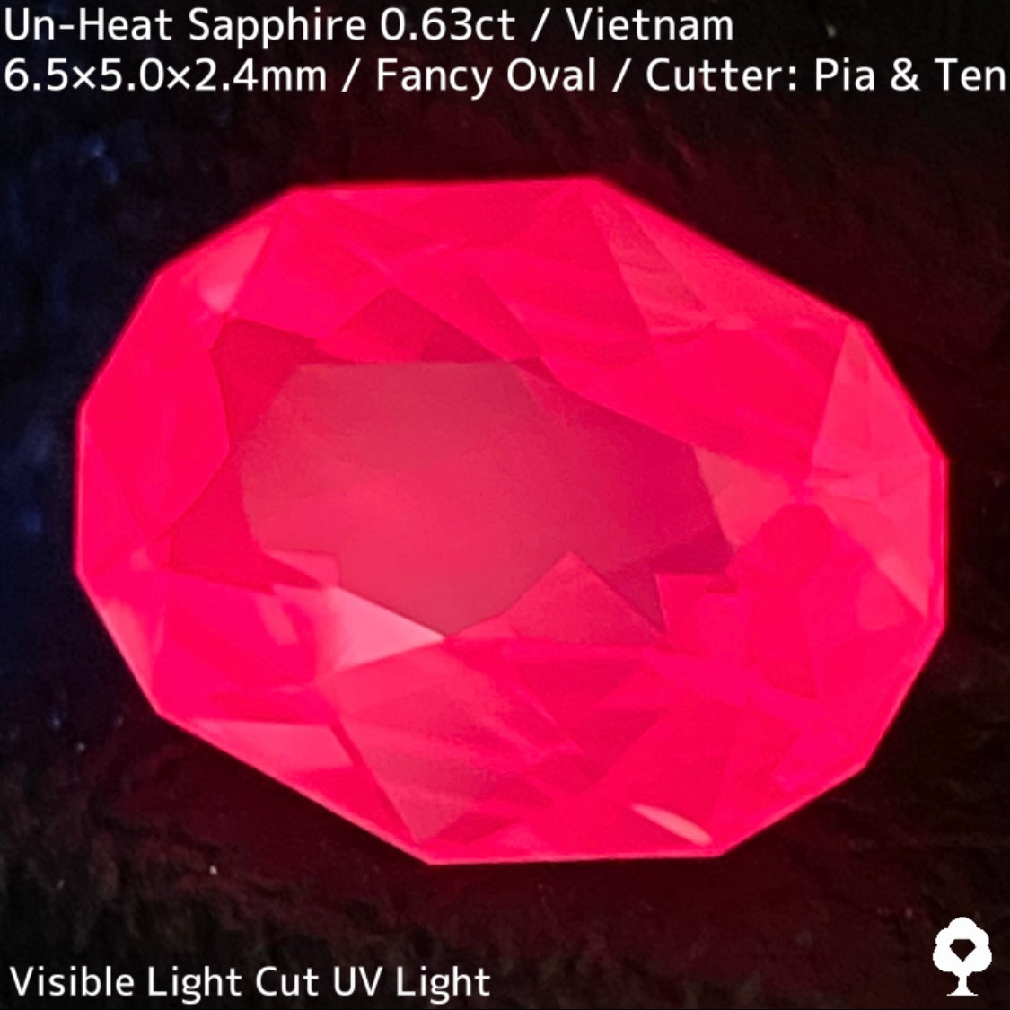 Un-Heat Sapphire 0.63ct / Vietnam