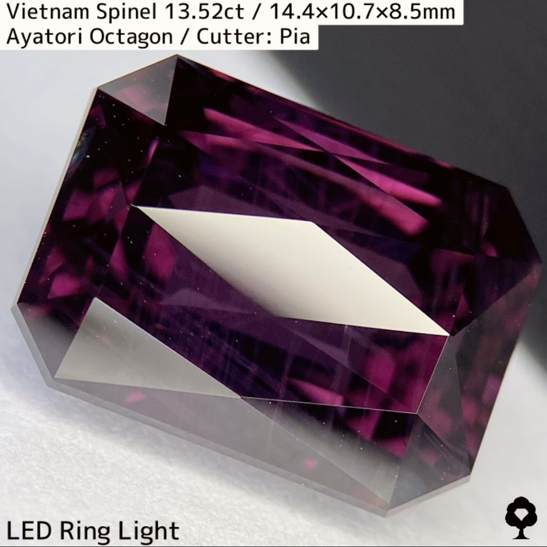Spinel 13.52ct / Vietnam / Ayatori